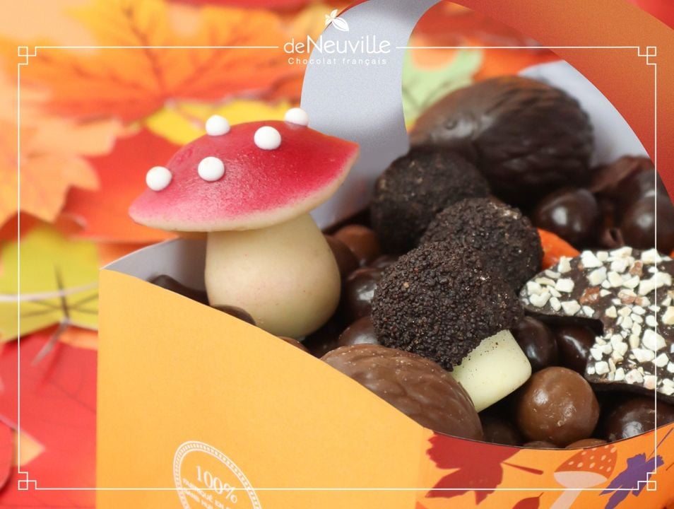 de Neuville – Chocolat français 1